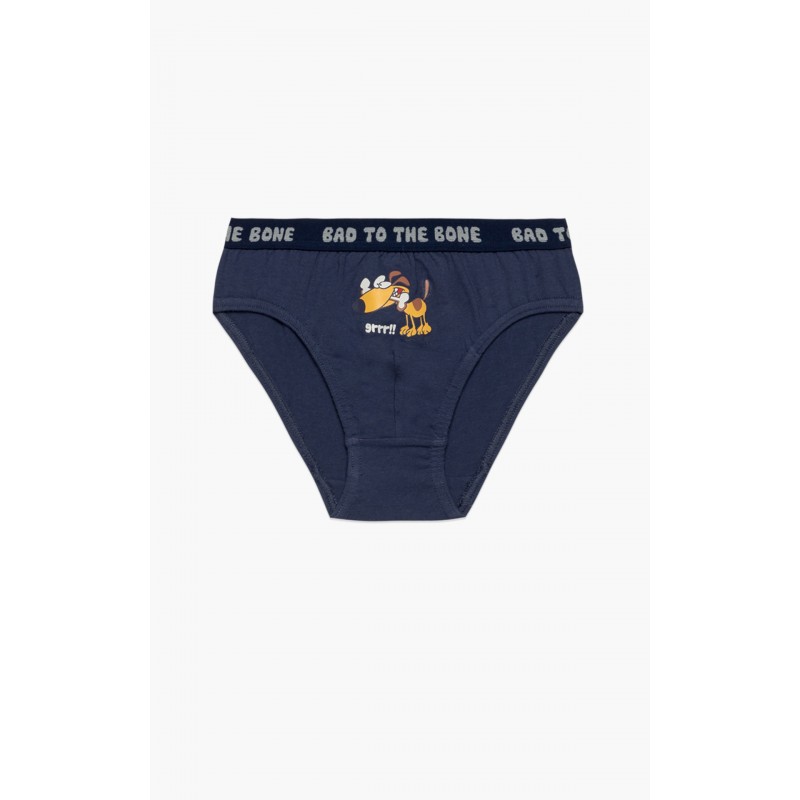 Minerva Boy s Cotton Underwear Slip 3 Pack With Pattern