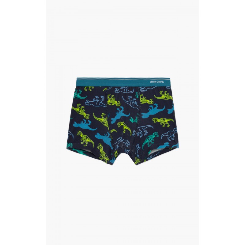 Minerva Boys Cotton Boxer Dino Design 2 Pack