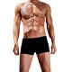 Bluepoint Men s Elastic Swimwear Solids Elastic